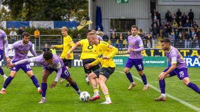 Im Hinspiel im Hans-Walter-Wild-Stadion (Bild) erkämpfte die Altstadt mit einem 0:0 einen Punkt gegen die Würzburger Kickers. (Foto: Archiv/Dirk Ellmer)