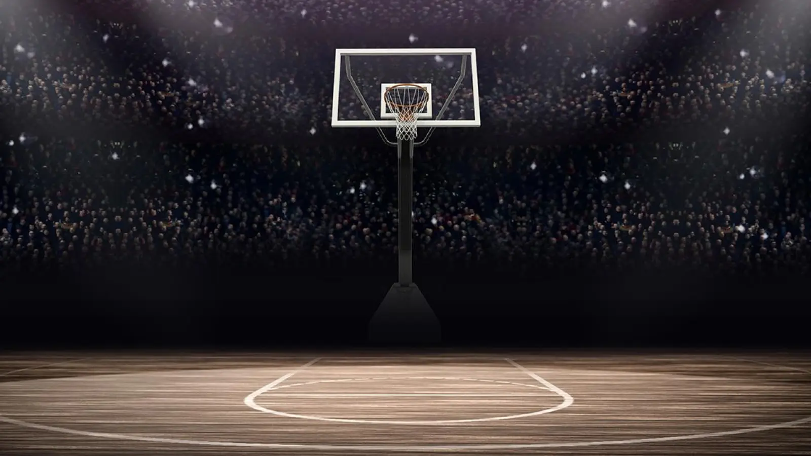 Lenny Liedke verstärkt medi bayreuth - Ausbildung beim Deutschen Meister durchlaufen (Foto: Adobe Stock)