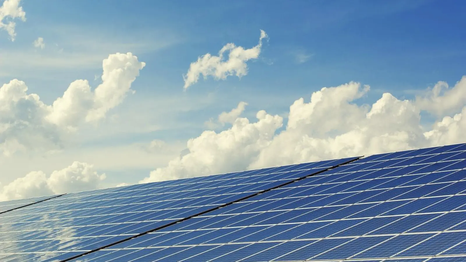 Die Stadt Bayreuth schafft die planungsrechtlichen Grundlagen für einen „Bürgersolarpark Bayreuth-Saas“.  (Foto: red )