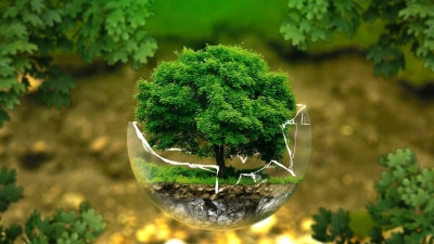 Einsparungen beim Strom-, Heiz- und Wasserverbrauch (Foto: inBayreuth.de)