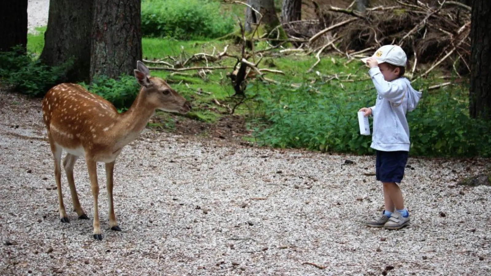 „Gestatten, mein Name ist.....” scheint sich dieser kleine Besucher beim Hufeisen-Bewohner vorzustellen.  (Foto: red)
