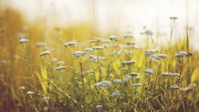 Foto: Marie Löwe