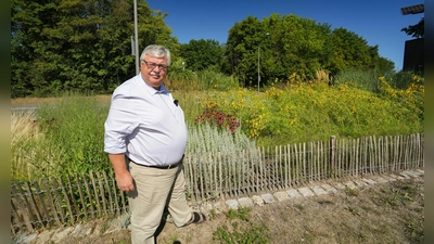 Wenn in den immer trockener werdenden Sommermonaten die Blüten im Garten rar werden, bieten Präriestauden eine interessante Möglichkeit der Gartengestaltung. Was dabei zu beachten ist, erläutert Stadtgartenamtsleiter Robert Pfeifer im Gartentipp für den August. (Foto: Stadt Bayreuth )
