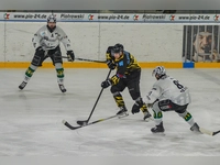 onesto Tigers Bayreuth - Bietigheim Steelers 02 (Foto: sd)
