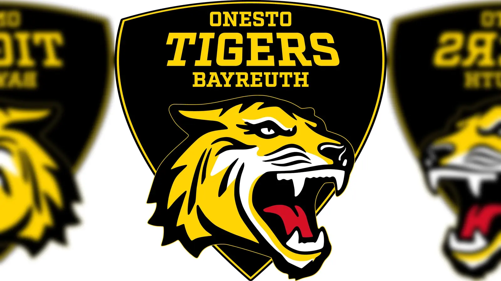 Dem Antrag auf eine Oberligalizenz für die onesto Bayreuth Tigers steht nach der Rechtskraft des Sanierungsplans nichts mehr im Wege. (Foto: onesto Bayreuth Tigers)