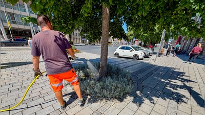 Mit einem Betrag für den Baumpflegefonds kann jeder etwas zur Bewässerung von Eiche, Linde &amp; Co. beitragen. (Foto: Stadt Bayreuth)