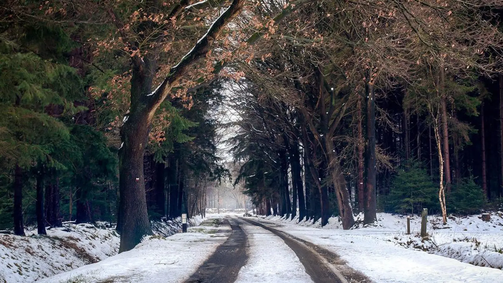 Corona-Virus in Bayreuth: 15-Kilometer-Regel außer Kraft (Foto: red)