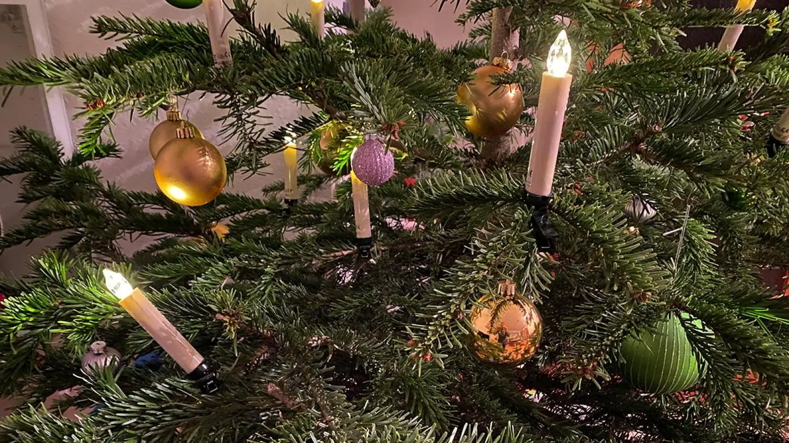 Geschmückter Weihnachtsbaum: In Bayreuth werden abgeschmückte Bäume in der zweiten Kalenderwoche 2024 abgeholt. (Foto: Lenkeit)