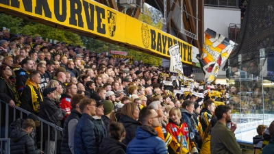 Onesto Tigers schlagen sich im Oberfrankenderby ehrbar.  (Foto: sd)
