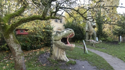 Foto: Urwelt Museum Oberfranken 