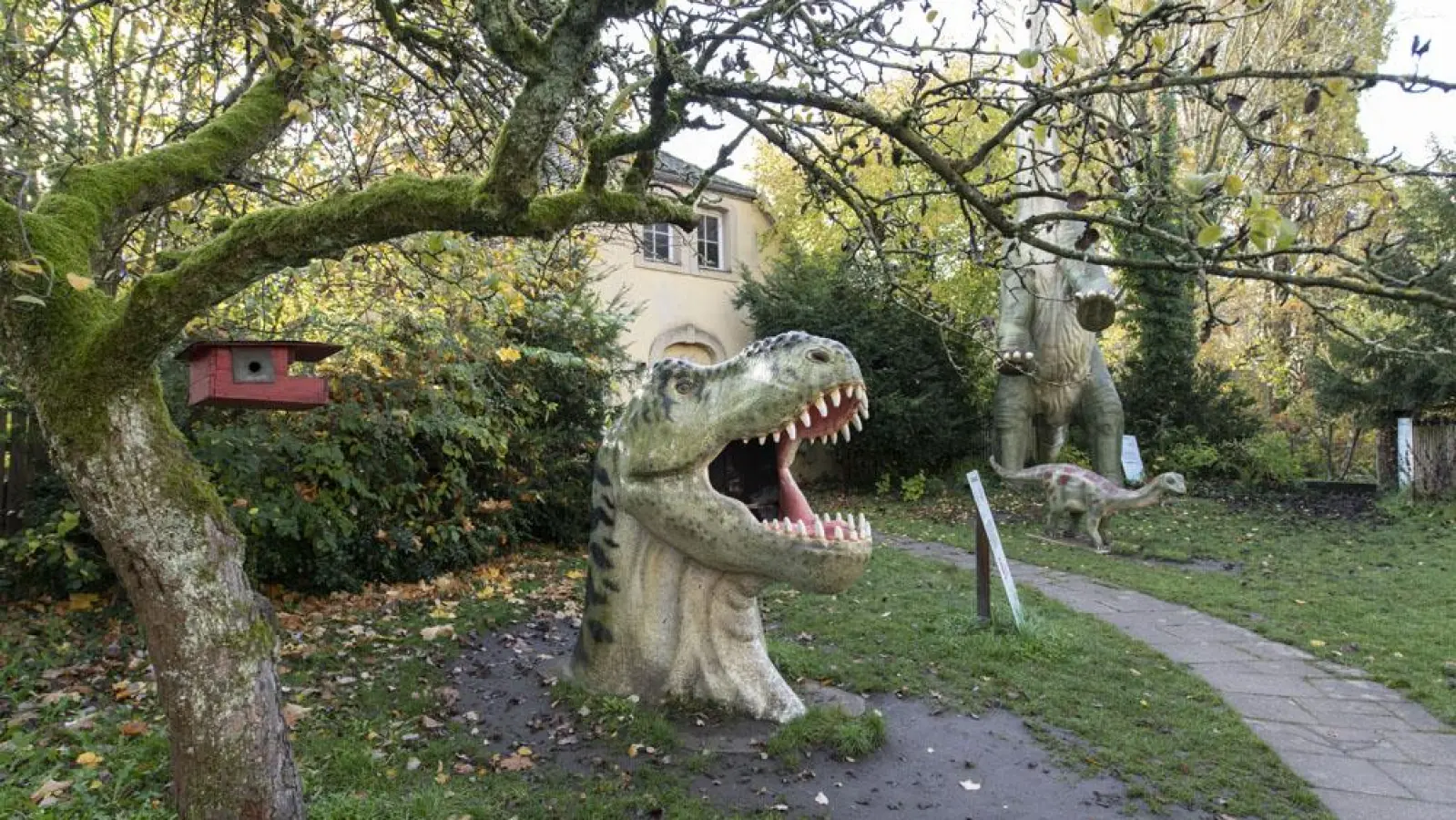 Foto: Urwelt Museum Oberfranken 