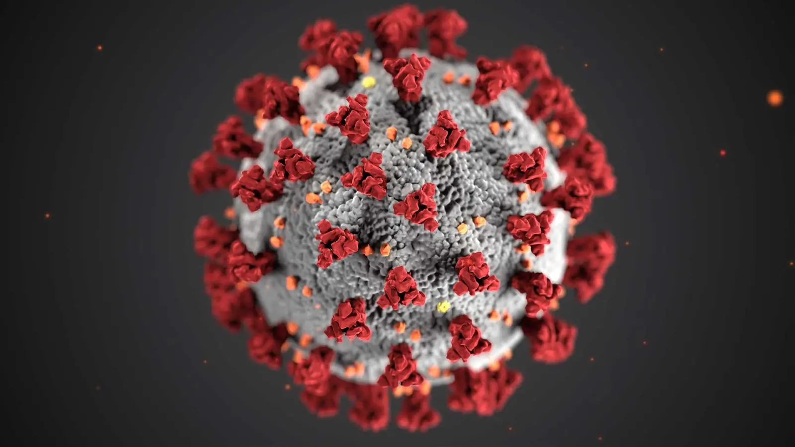 Corona Virus (Foto: red)