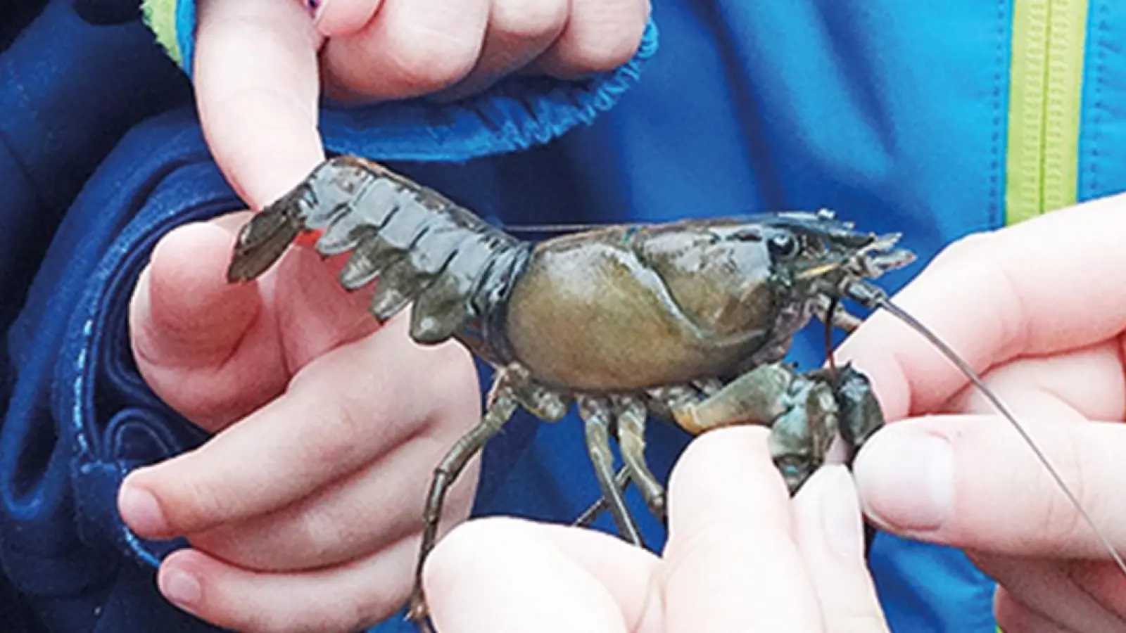 Fischereitag in Aufsess online – Foto Bezirk (Foto: inBayreuth.de)