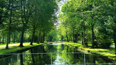 Zwischen alten Bäumen, wie hier im Hofgarten, zeigt sich, wie wertvoll natürliche Grünflächen für Klima und Lebensqualität sind. 	  (Foto: gmu)