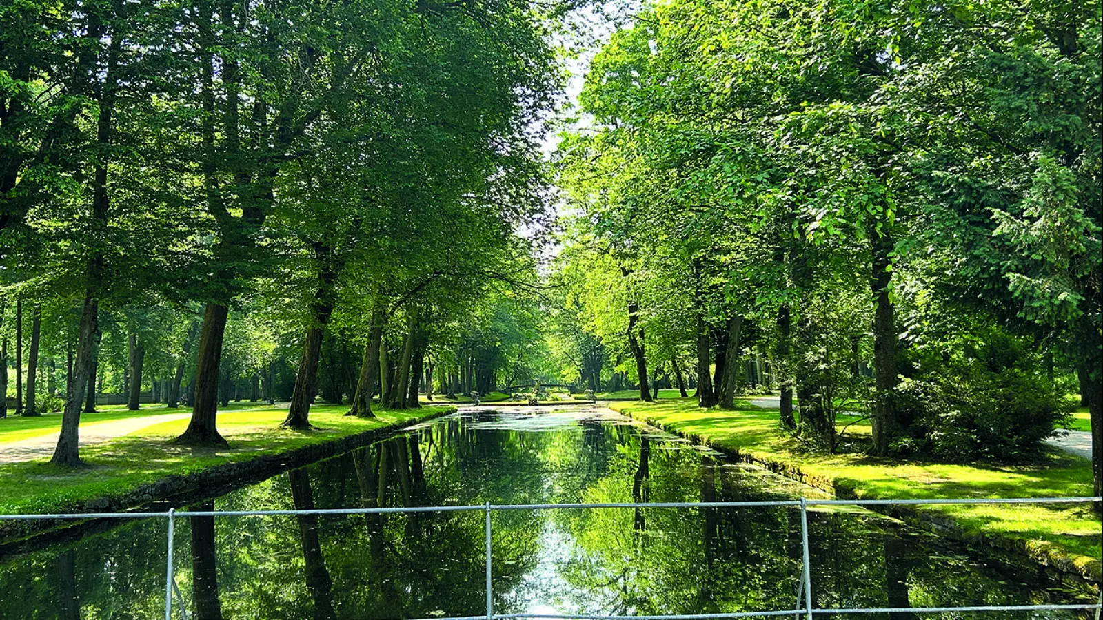 Zwischen alten Bäumen, wie hier im Hofgarten, zeigt sich, wie wertvoll natürliche Grünflächen für Klima und Lebensqualität sind. 	  (Foto: gmu)