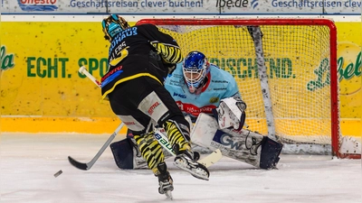 Nach der 3:11-Niederlage in Heilbronn wenden sich die onesto Tigers mit einer Stellungnahme an ihre Fans und das Umfeld. (Foto: Archiv/Dirk Ellmer)