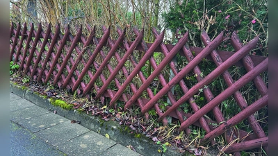Der klassische Jägerzaun – eine Zaunform, die in Bayreuther Bebauungsplänen noch vorgeschrieben ist. <br> (Foto: W. Munzert )