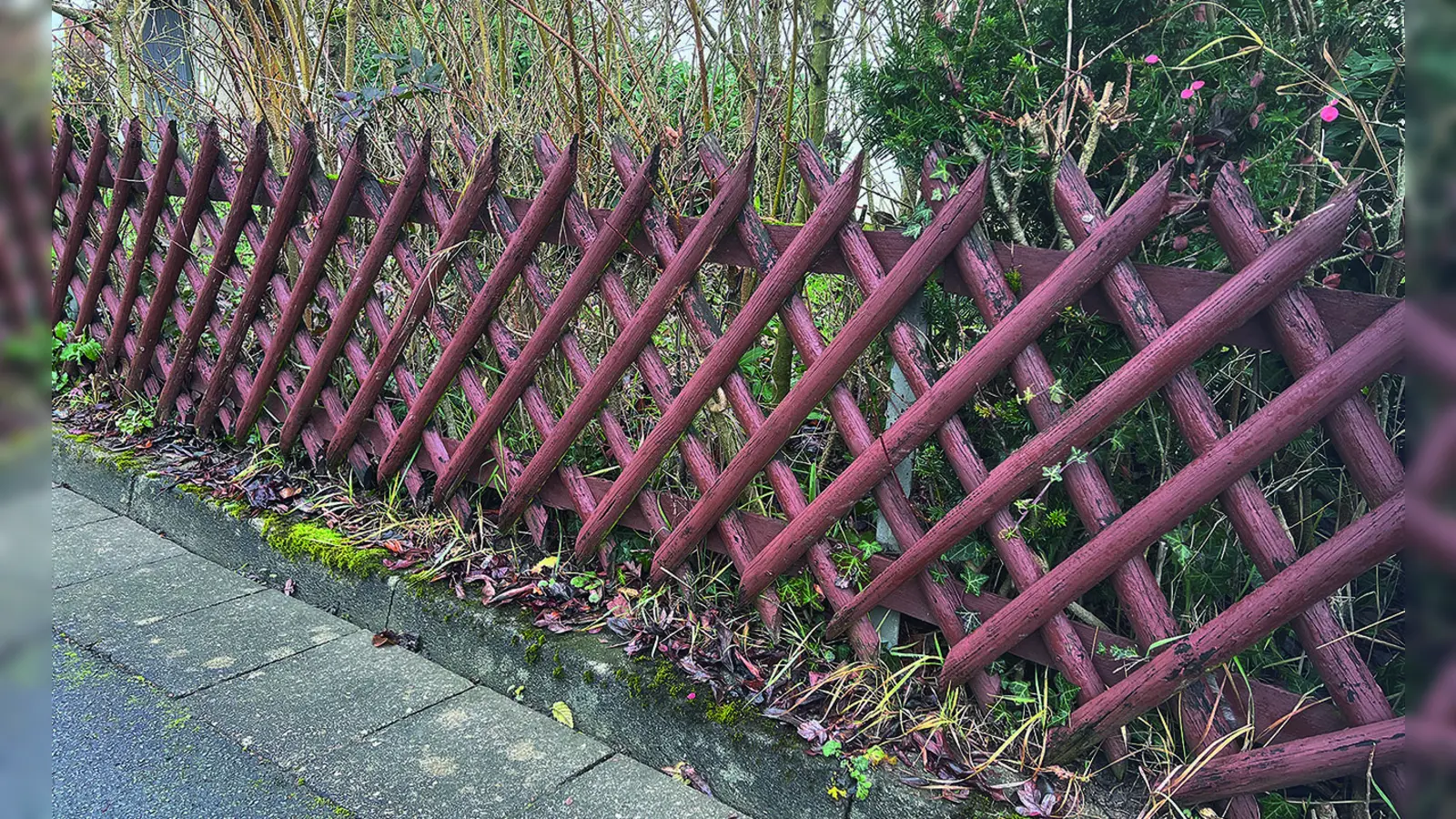 Der klassische Jägerzaun – eine Zaunform, die in Bayreuther Bebauungsplänen noch vorgeschrieben ist. <br> (Foto: W. Munzert )