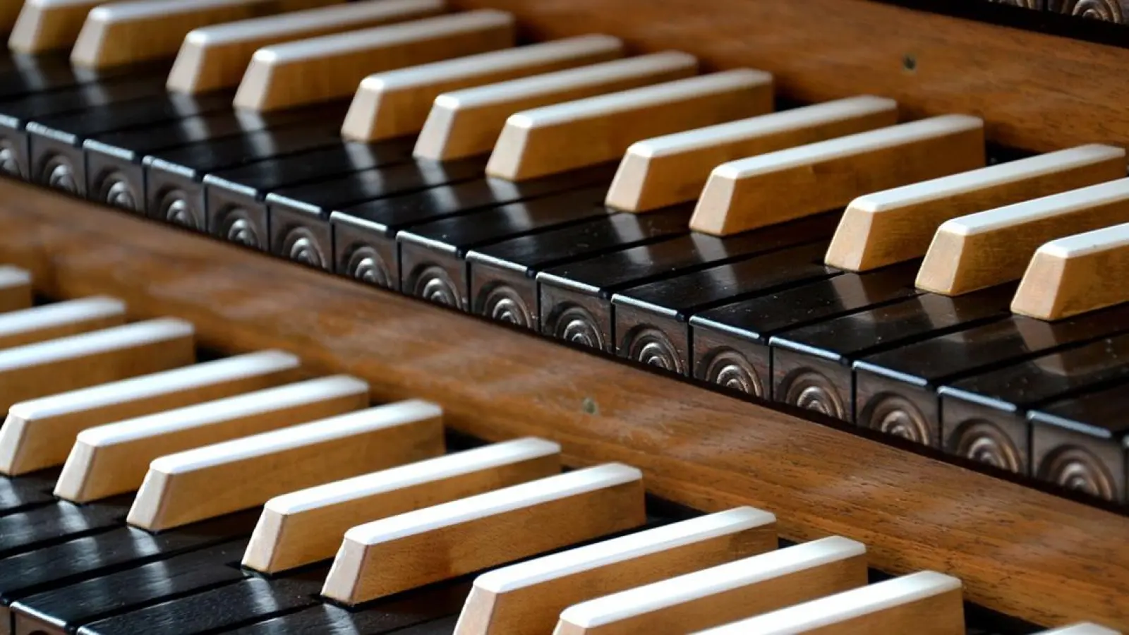 Musik-Lesung zu Dietrich Bonhoeffer an der HfK Bayreuth (Foto: Symbolbild: pixabay/PhotoGrafix)