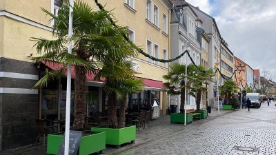 Die Palmen bleiben draußen - und stehen unter der Lichterkette und neben Weihnachtsbäumen. (Foto: Lenkeit)