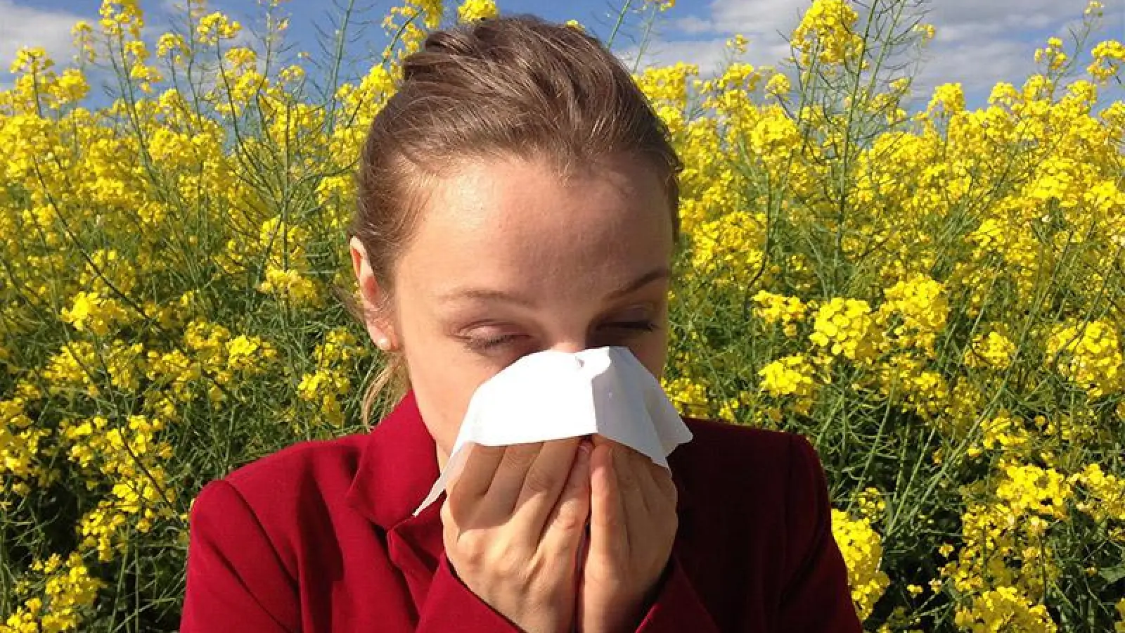 Klimawandel schuld? Immer mehr Senioren mit Pollenallergie (Foto: pixabay)