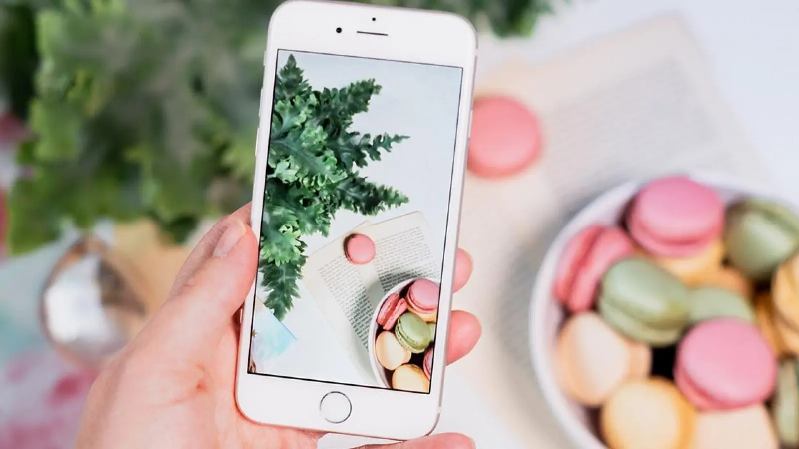 Essensvideos in Social Media: Neues Projekt in Bayreuth gestartet (Foto: Symbolbild: pixabay/ylanite)