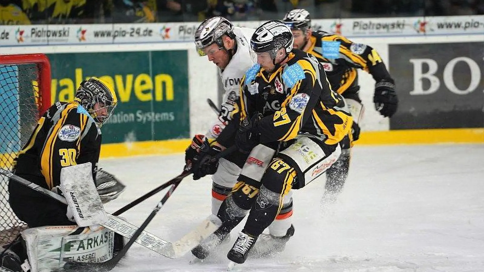 Tigers entzaubern Frankfurt. / Foto: Bayreuth Tigers. (Foto: inBayreuth.de)