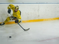 onesto Tigers Bayreuth - Tölzer Löwen 03 (Foto: sd)