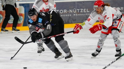 Die Bayreuth Tigers sind heute gegen Bad Nauheim gefordert. (Foto: Peter Kolb)