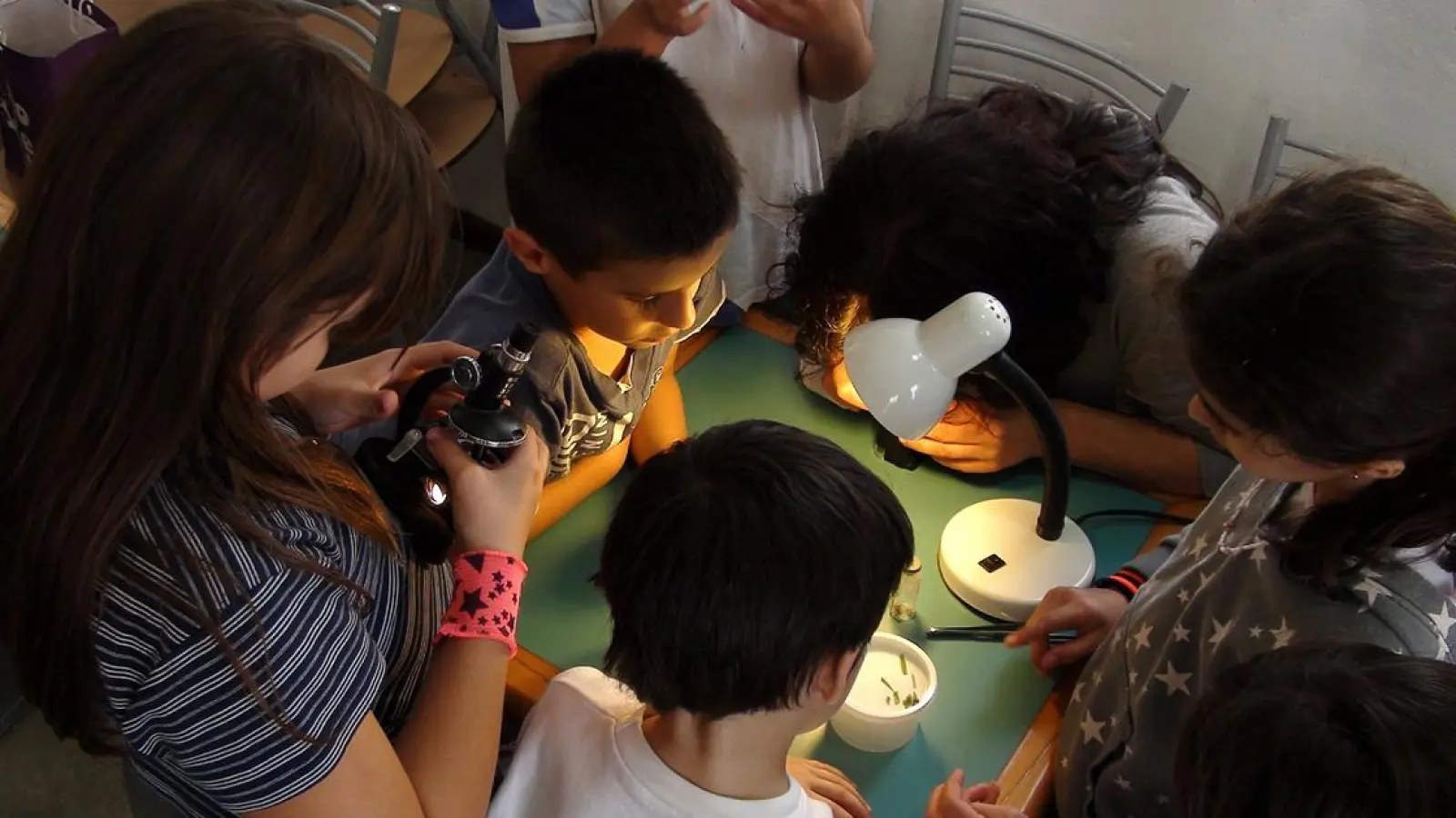 KinderUni Bayreuth 2023 (Foto: pixabay/patricialacolla)