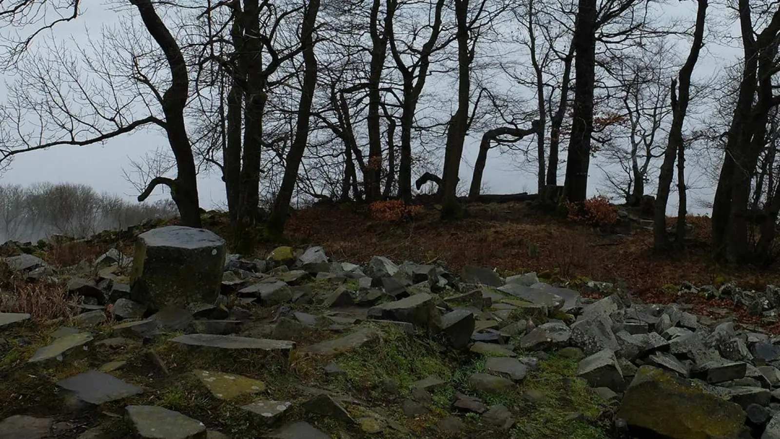 Veranstaltungen in Bayreuth: „Baum und Basalt” (Foto: red)