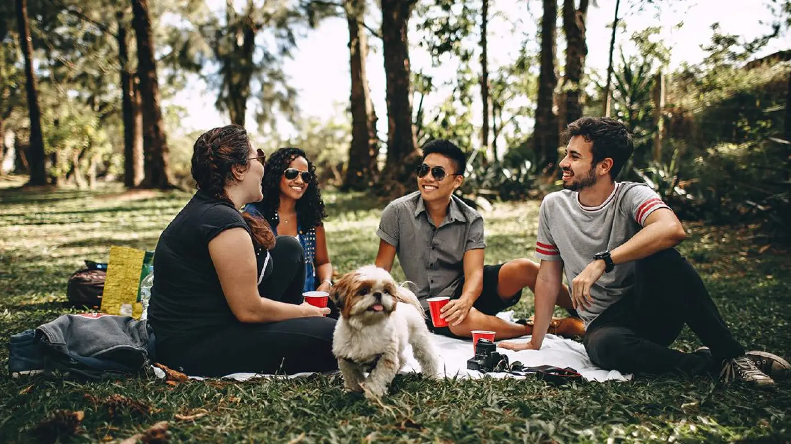 Ratgeber Bayreuth: 1000 gute Gründe für ein Picknick (Foto: red)