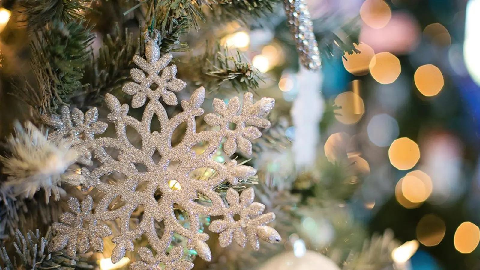 Benefizkonzert in Bayreuth am 1. Advent in St. Hedwig (Foto: inBayreuth.de)