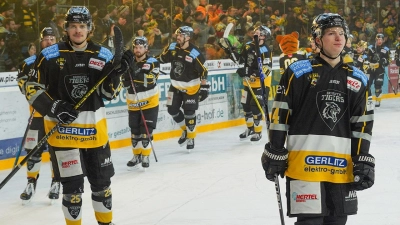 Bayreuth Tigers Eishockey DEL2 (Foto: red)