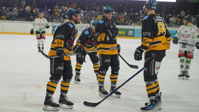 Die Bayreuth Tigers auf der Eisfläche. Es könnten weitere folgen. (Archivbild: Dörfler)