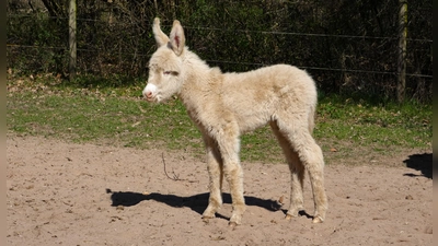 Foto: Stadt Bayreuth 