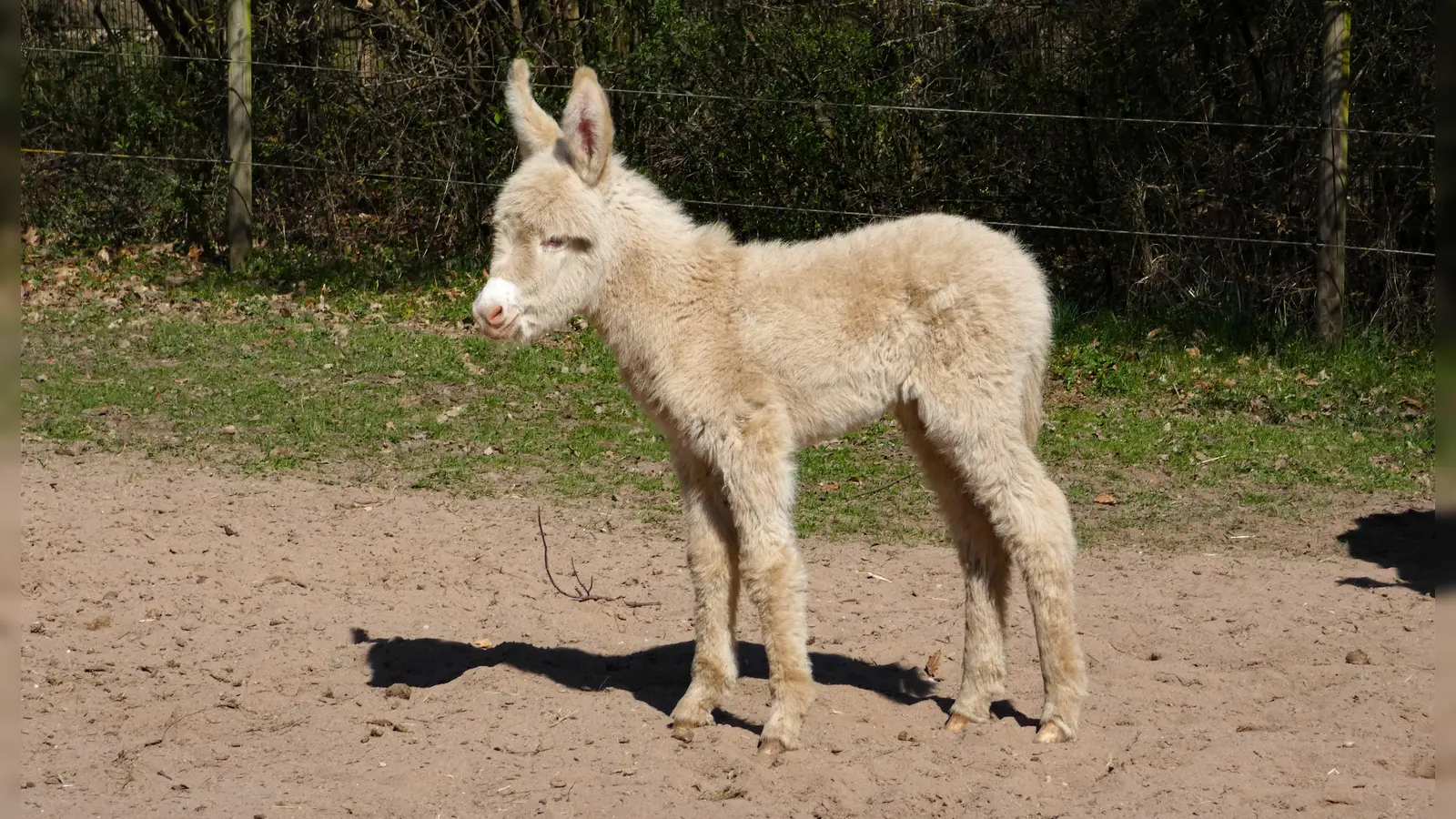 Foto: Stadt Bayreuth 