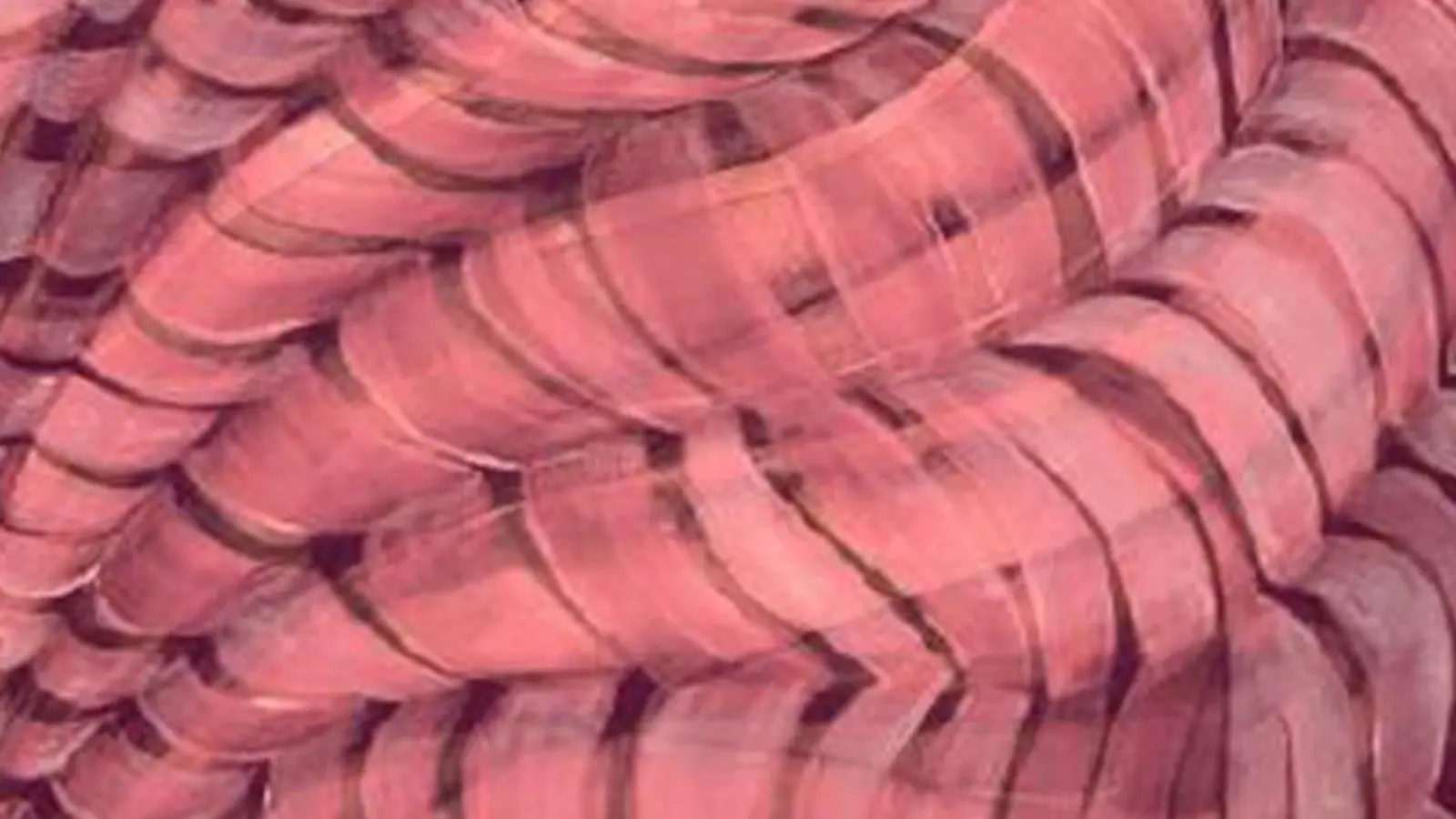 Aufwachsen mit Tanz: Bayreuther Studentinnen setzen sich mit eigenem Körper auseinander (Foto: red)