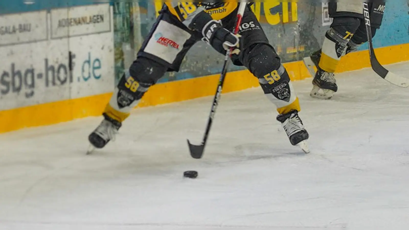 Chancenlos waren die onesto Tigers im Testspiel bei den Hannover Indians. (Foto: red)