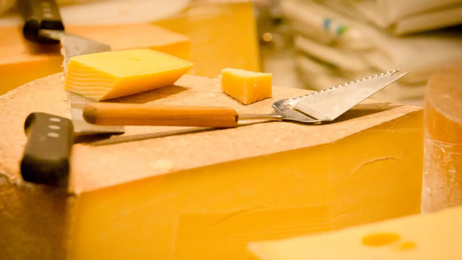 Beschäftigte der Milchwirtschaft bekommen mehr Geld: So hoch ist das Lohnplus in wenigen Wochen (Foto: red)