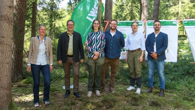 Gruppenbild bei der 4. Bundeswaldinventur für Oberfranken im Wald bei Hummeltal; v.l.: Dr. Ruth Dirsch, Vizepräsidentin der LWF, Regierungspräsident Florian Luderschmid; Julia Haas (Bereichsleiterin Forsten, AELF Bamberg), Robert Geiser (Bereichsleiter Forsten, AELF Bayreuth-Münchberg), Isabel Fichtner (stv. Forstbetriebsleiterin Pegnitz – Bayerische Staatsforsten) und Jens Härtl (Bereichsleiter Forsten, AELF Coburg-Kulmbach) (Foto: Benjamin Böhm, Regierung von Oberfranken)