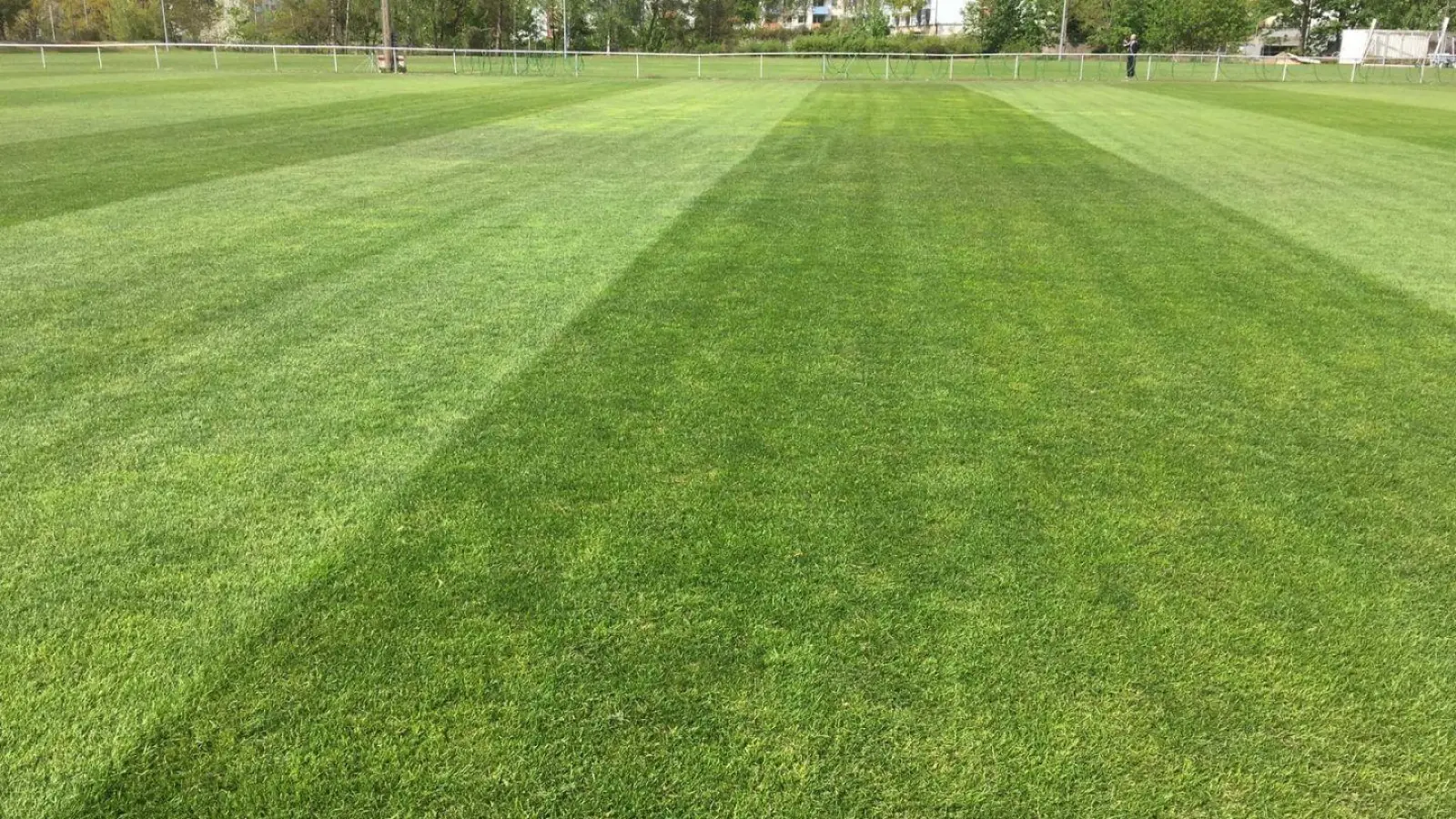 Saftiges Grün auf der Jakobshöhe. (Foto: SpVgg Bayreuth)