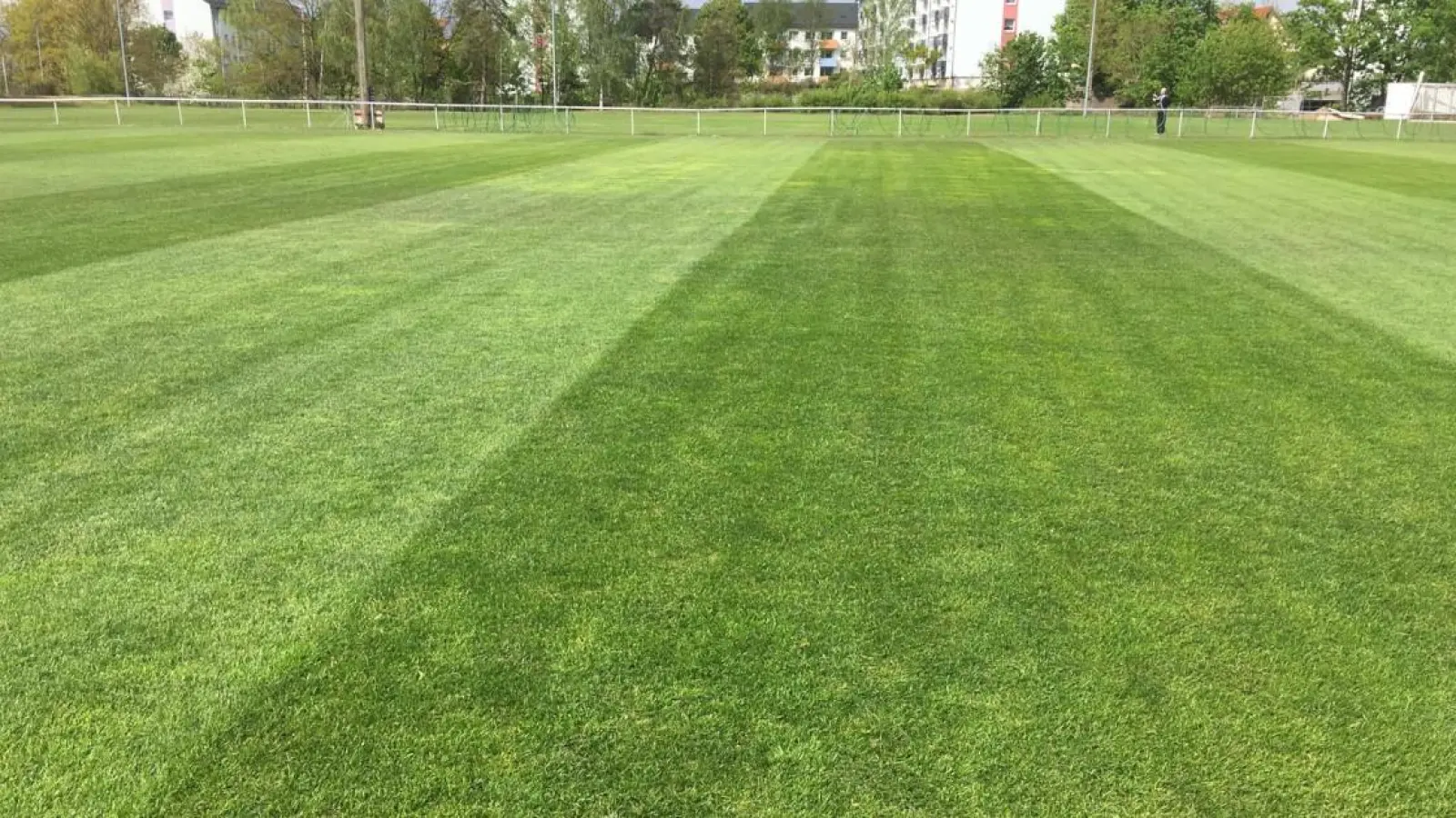 Saftiges Grün auf der Jakobshöhe. (Foto: SpVgg Bayreuth)