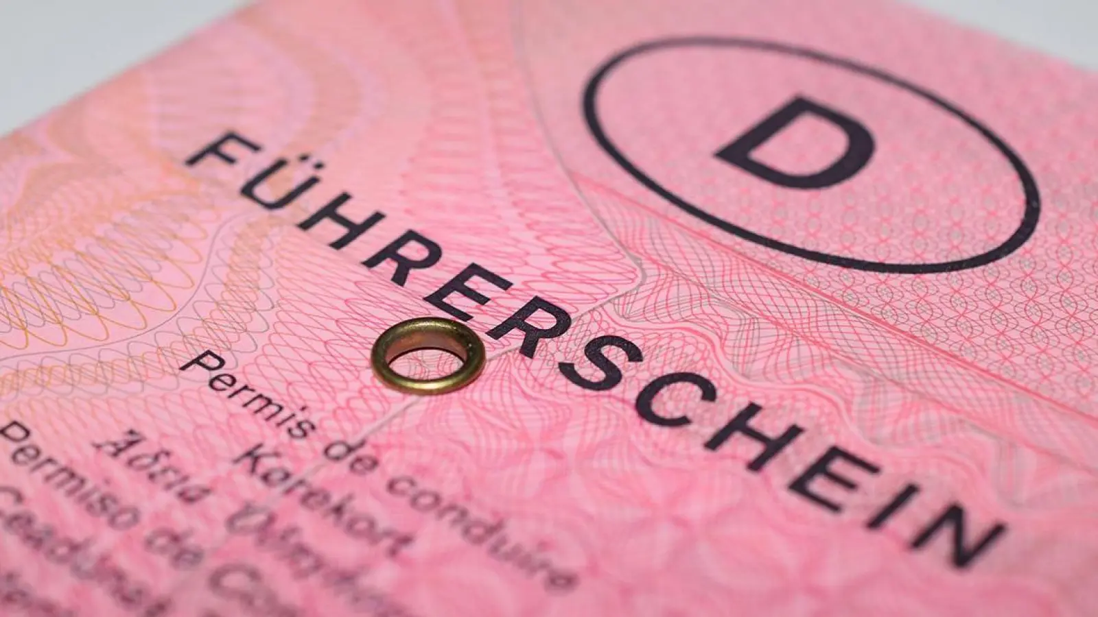 Lokalnachrichten in Bayreuth: Führerschein gegen Busfahrkarte (Foto: red)