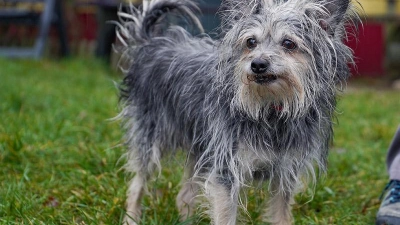 Wer kennt mich? (Foto: inBayreuth.de)