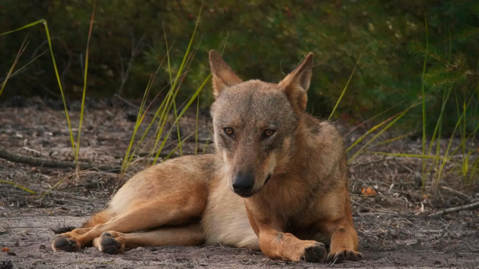 Foto: Sebastian Koerner