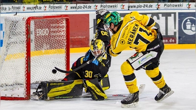 Michael Keränen (rechts) war mit seinen drei Toren heute Abend der Matchwinner für die Tölzer Löwen gegen die onesto Tigers Bayreuth. (Foto: Dirk Ellmer)