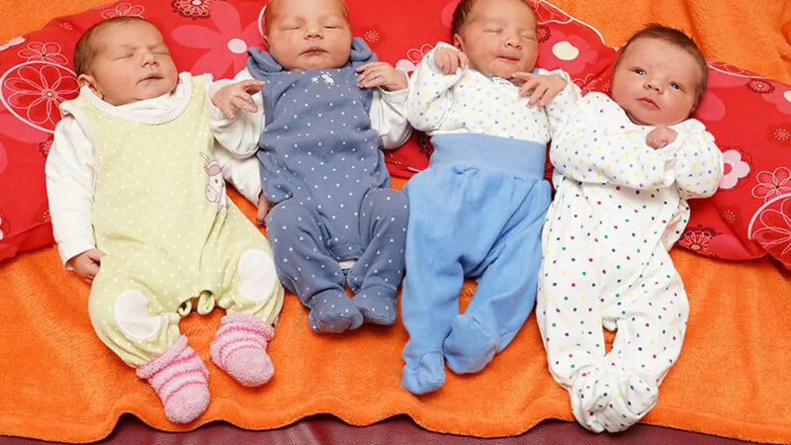 Babys Kalenderwoche 44 Foto Dörfler (Foto: Dörfler)