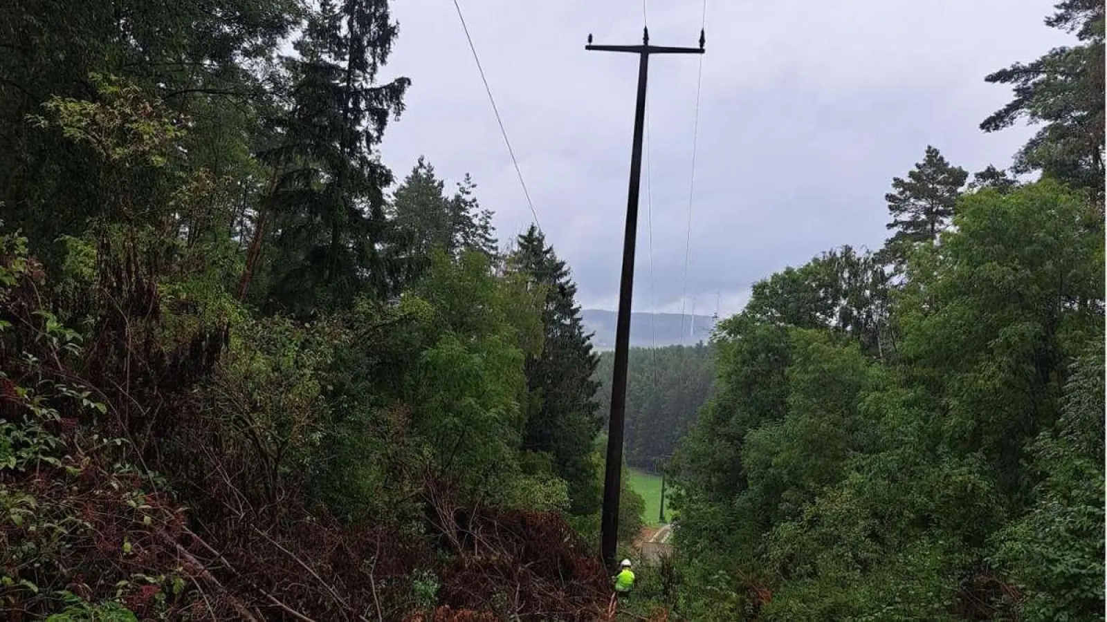 Ein umgefallener Baum verursachte am Freitag einen längeren Stromausfall in Creußen und Umgebung. (Foto: red)