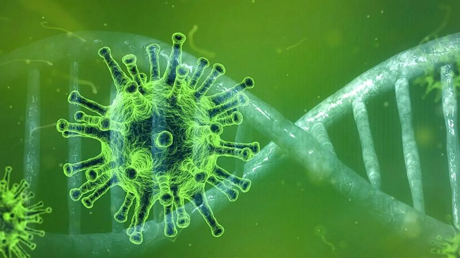 Neuer Corona-Fall im Landkreis Bayreuth (Foto: inBayreuth.de)